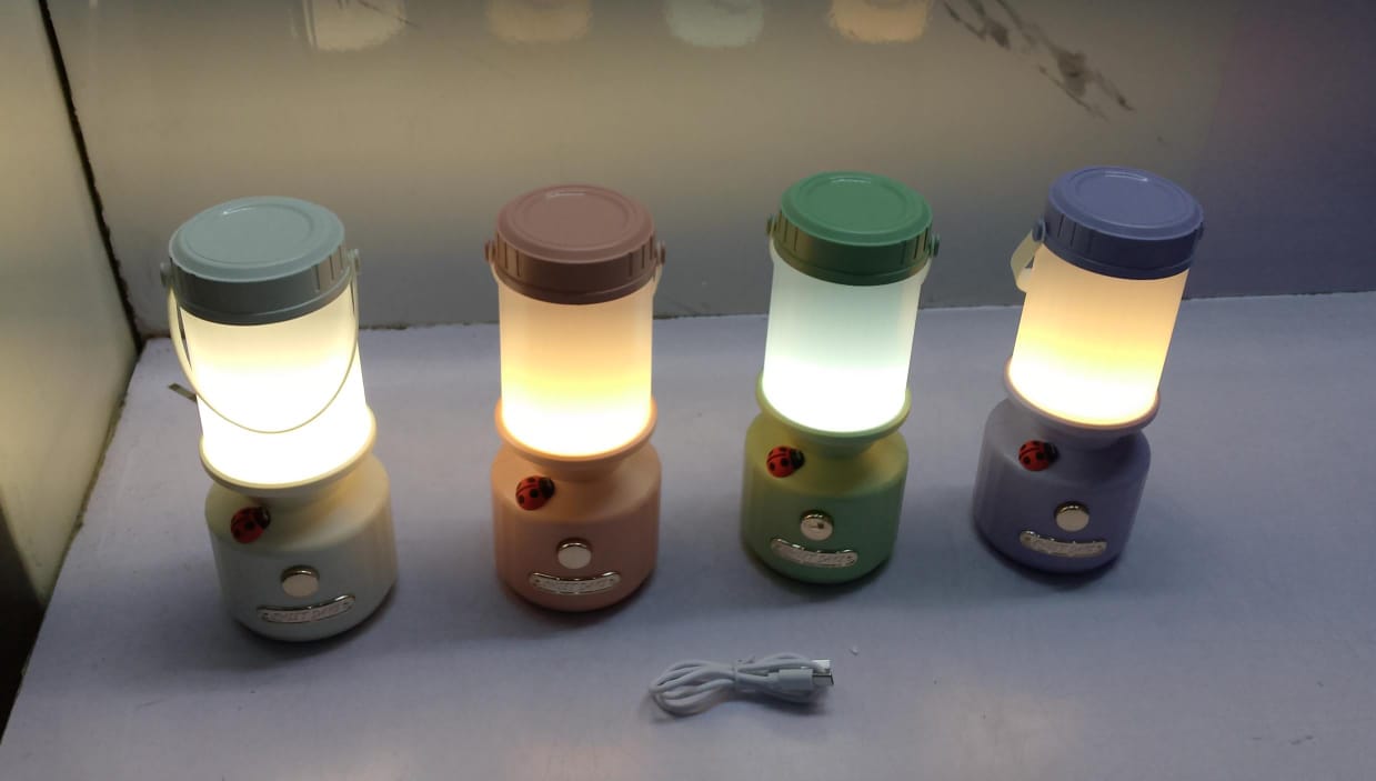Portable rechargeable camping light