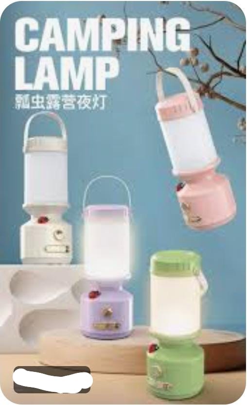Portable rechargeable camping light