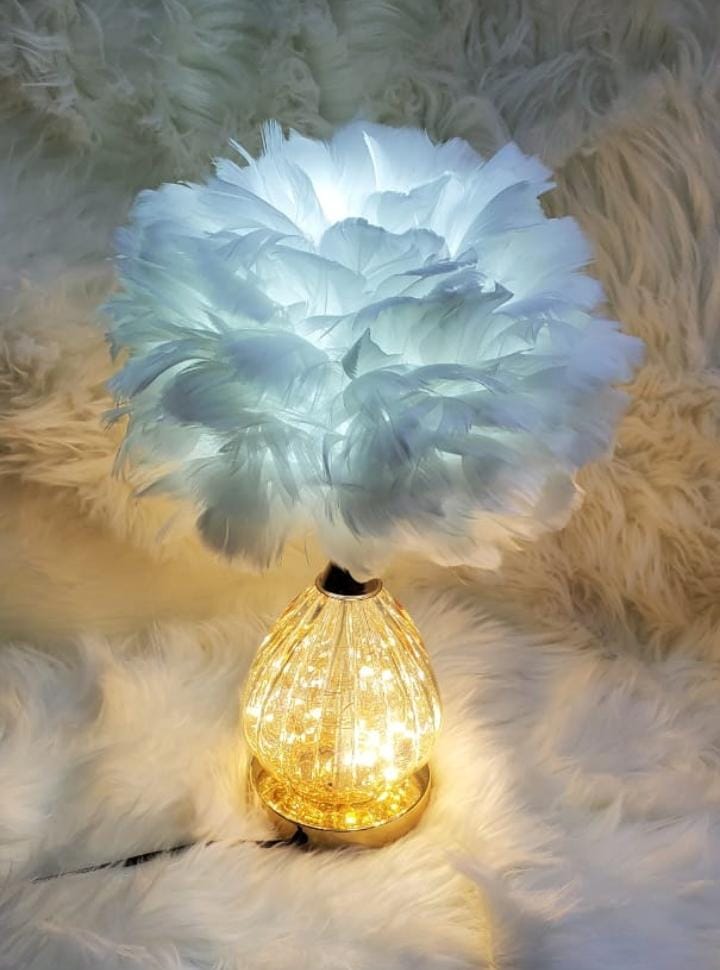 Crystal feather lamp